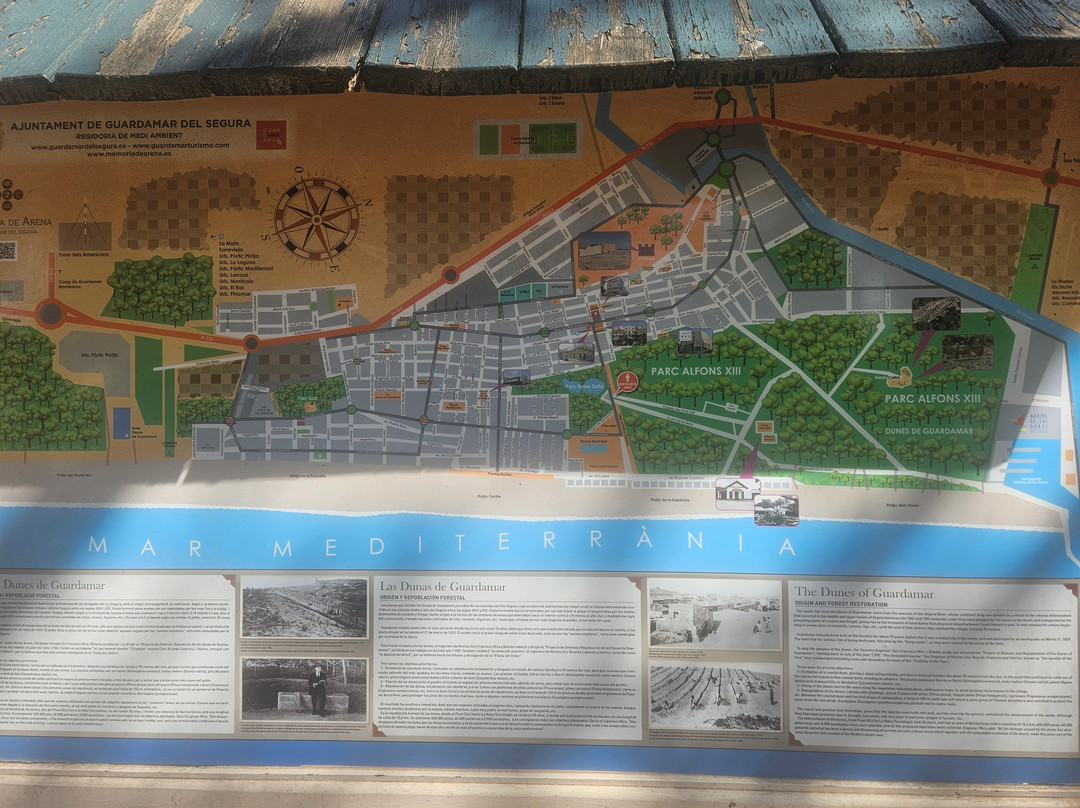 Parque Alfonso XIII景点图片
