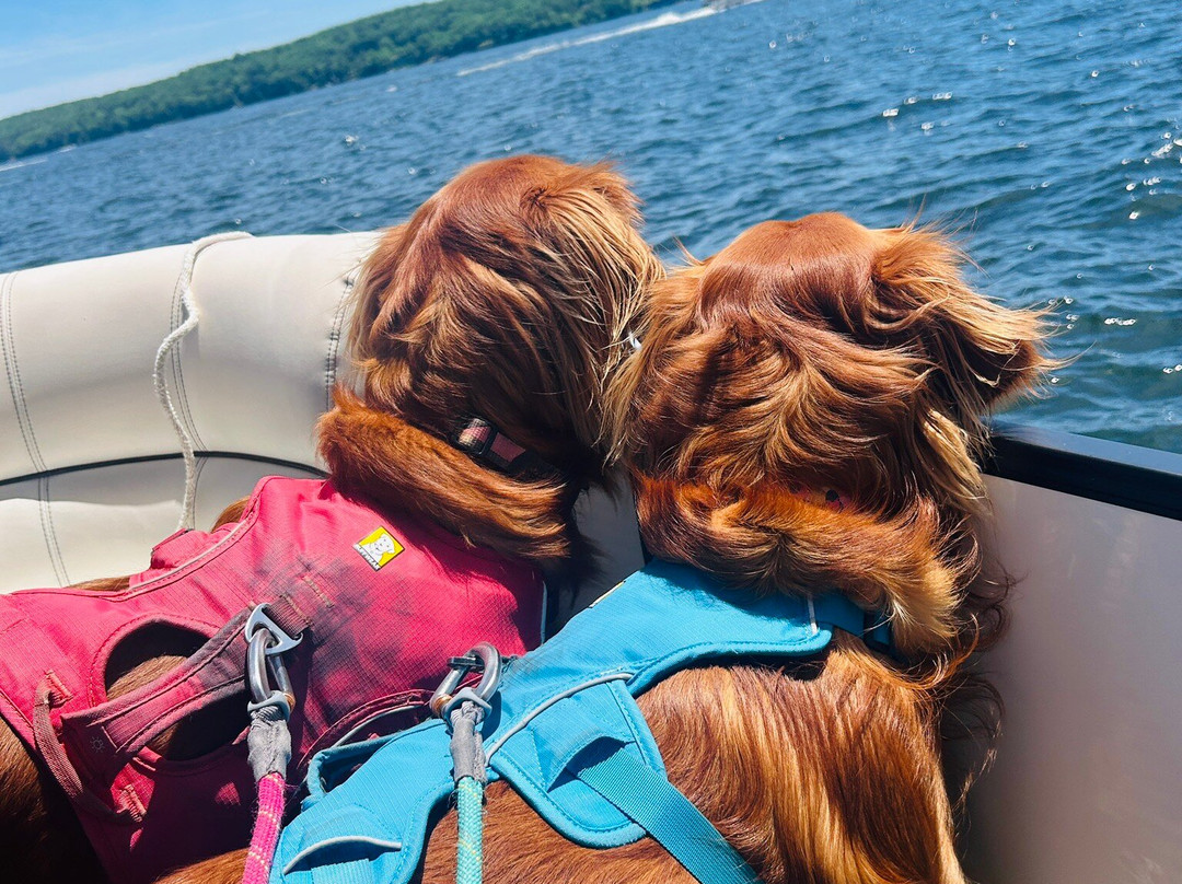 Fun Time Water Sports-Oakland必去景点