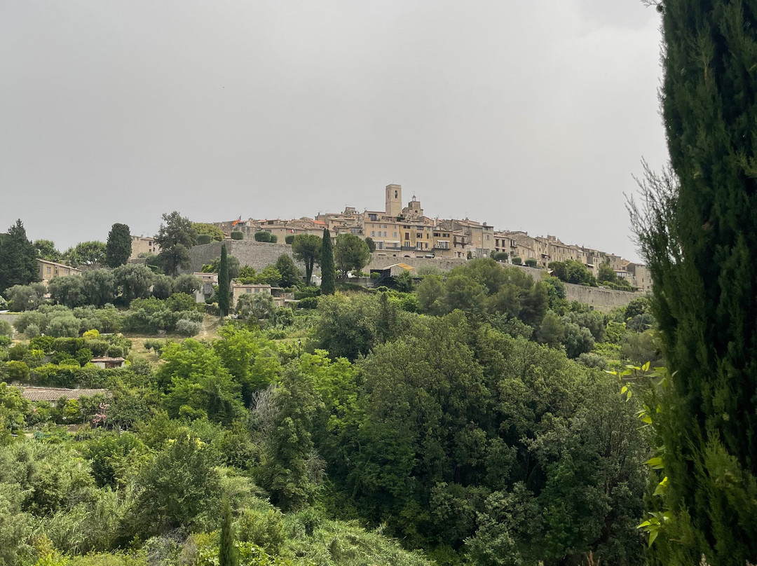 Riviera Come True Luxury Tours-尼斯必去景点