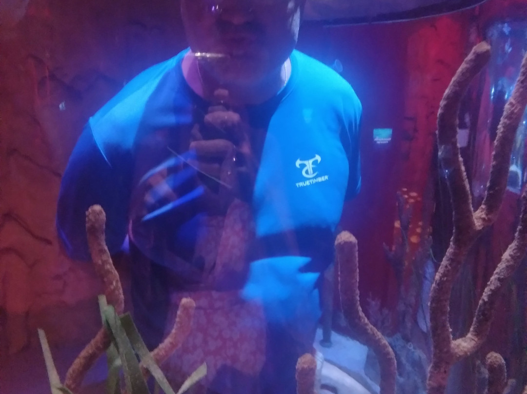 奥兰多海洋世界水族馆-奥兰多必去景点
