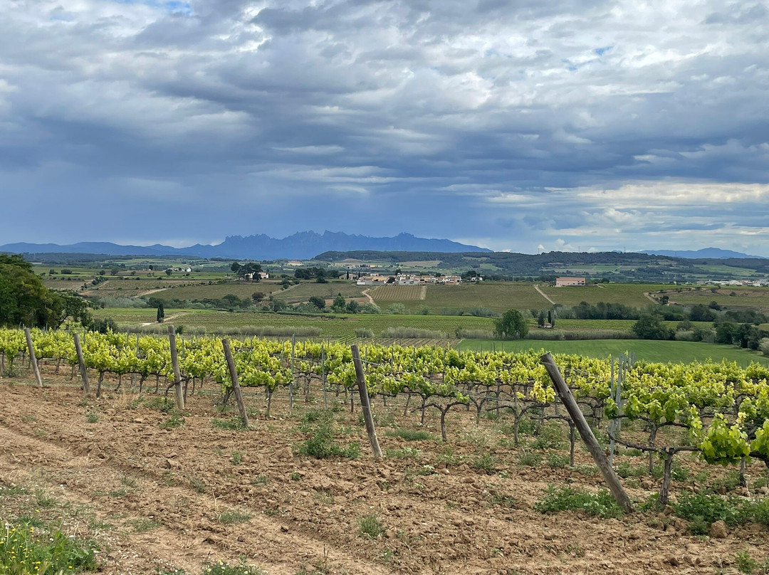 Penedes Ecotours-比拉夫兰卡德尔佩内德斯必去景点