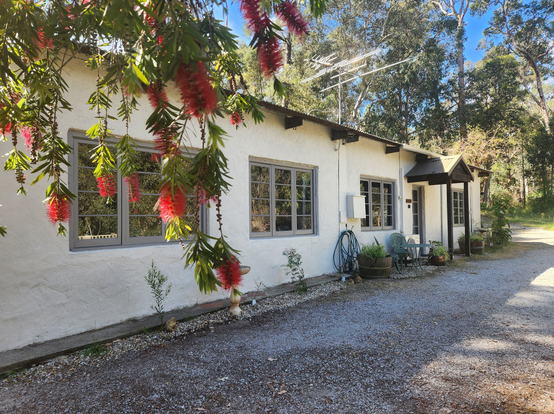 The Lavender Patch主图