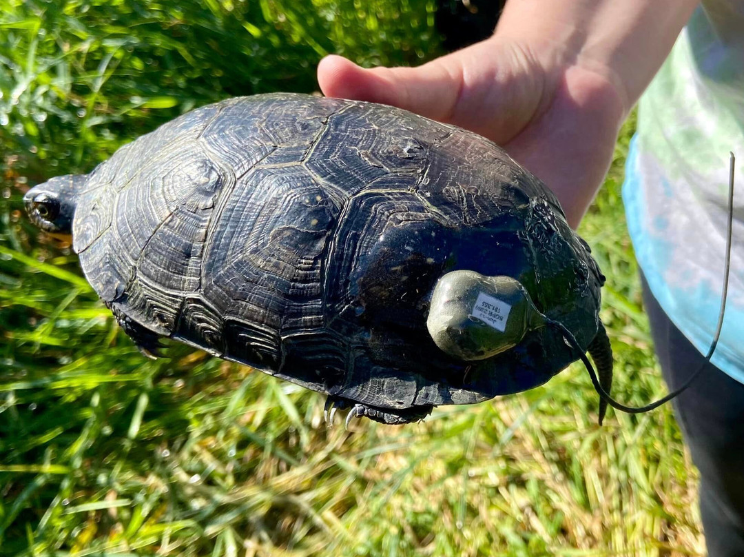 Nahant Marsh Education Center-达文波特必去景点