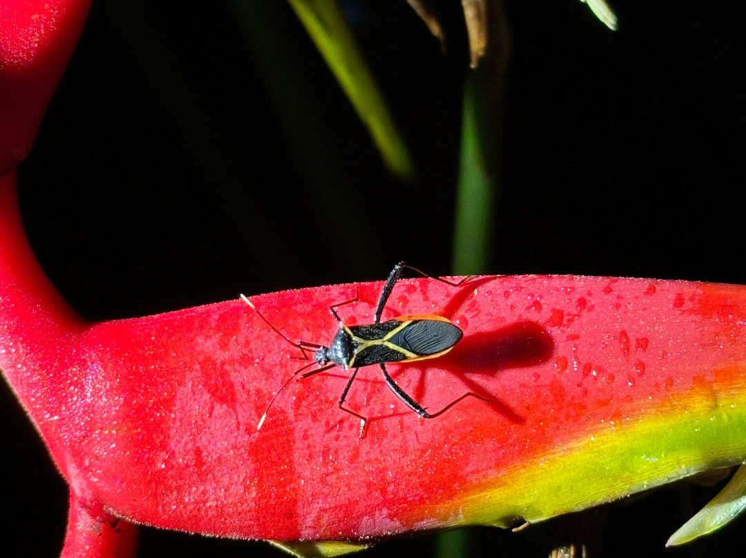 GreenPoint Drake Bay主图