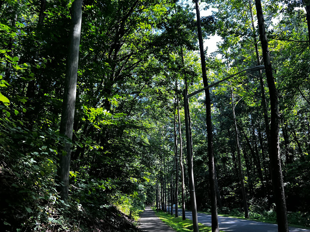 Occoquan Regional Park景点图片