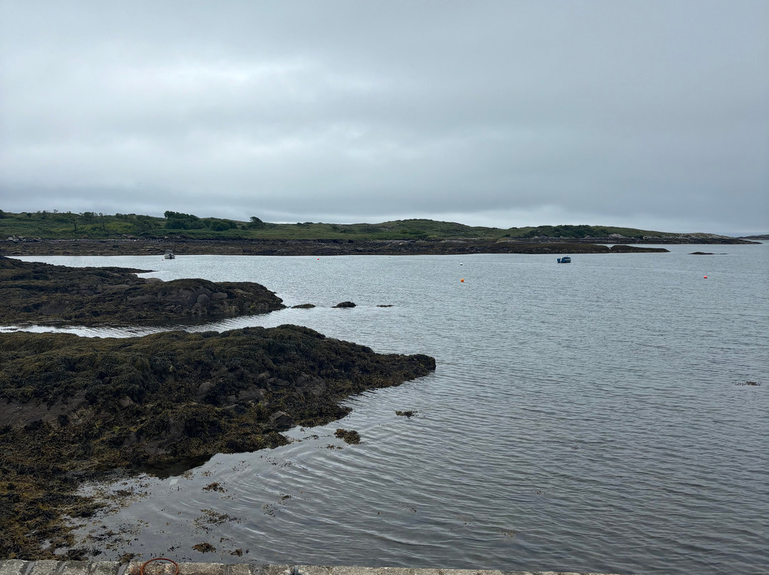 Wild Atlantic Wildlife景点图片