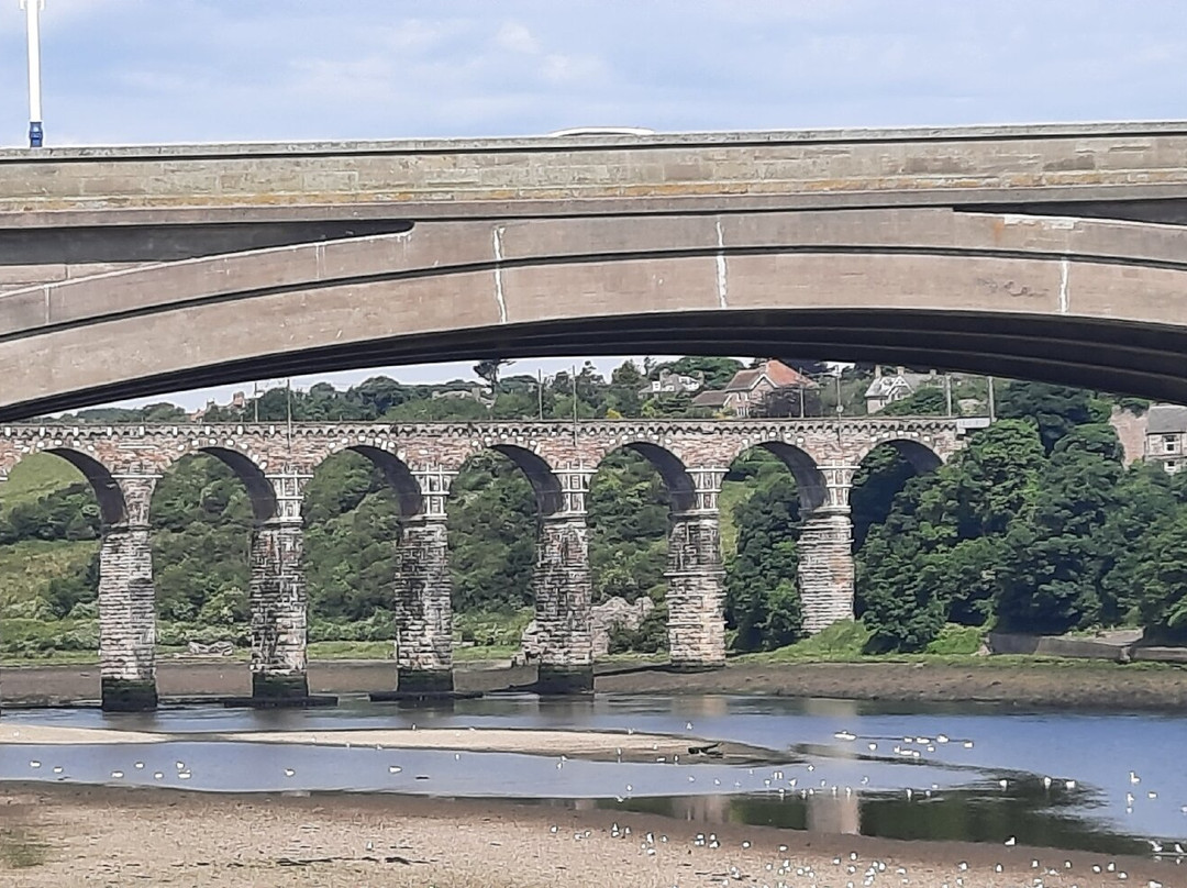 Berwick-upon-Tweed Tourist Information Centre-特威德河畔贝里克必去景点