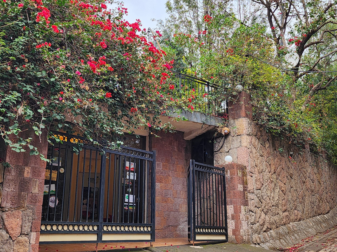 Tabor Hotel Lalibela主图