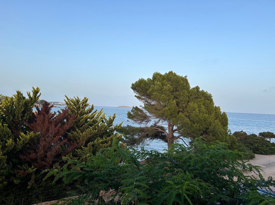 Grupotel Santa Eularia & Spa主图