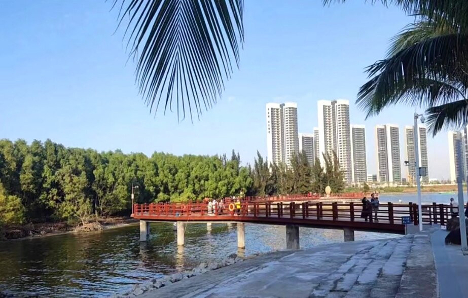 湛江观海长廊景点图片