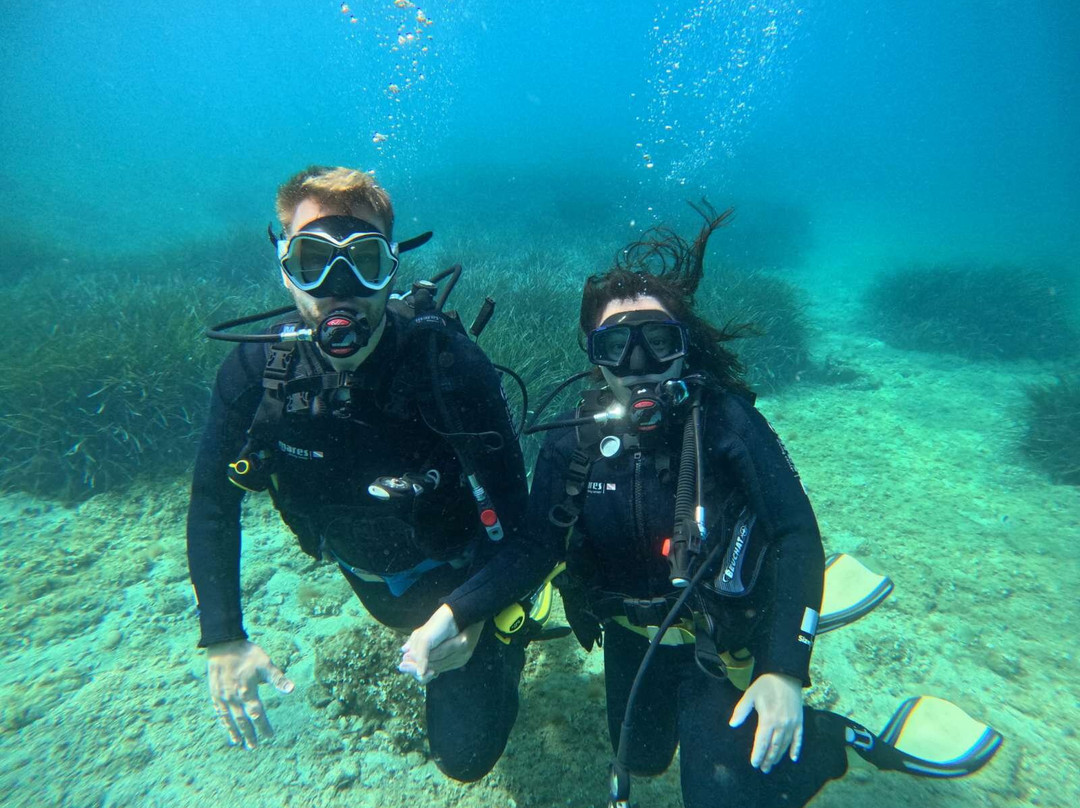 Alonissos Triton Dive Center景点图片