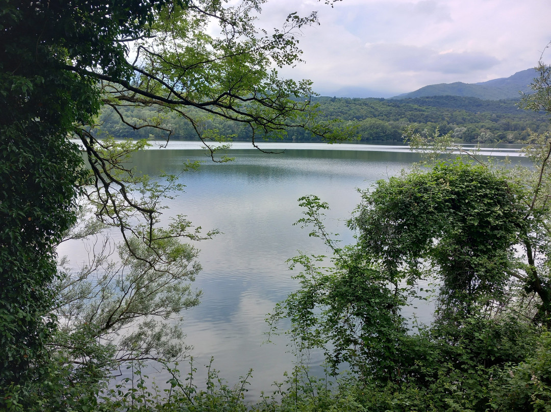 Parco Naturale dei Laghi di Avigliana景点图片
