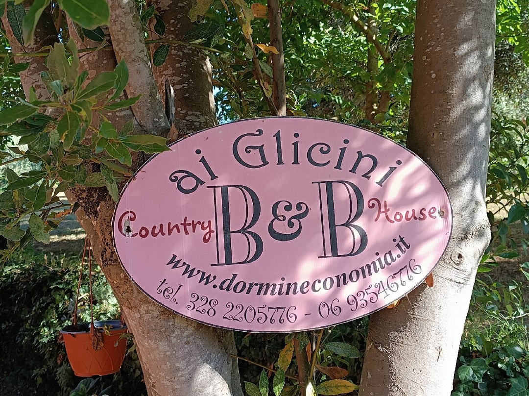 B&B Ai Glicini - Castelli Romani主图