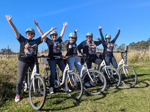 Grapemobile Bicycle Hire & Tours-波高尔宾必去景点