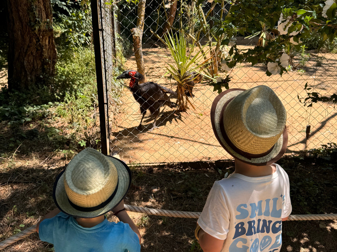 Zoo d'Upie Le Jardin Aux Oiseaux景点图片