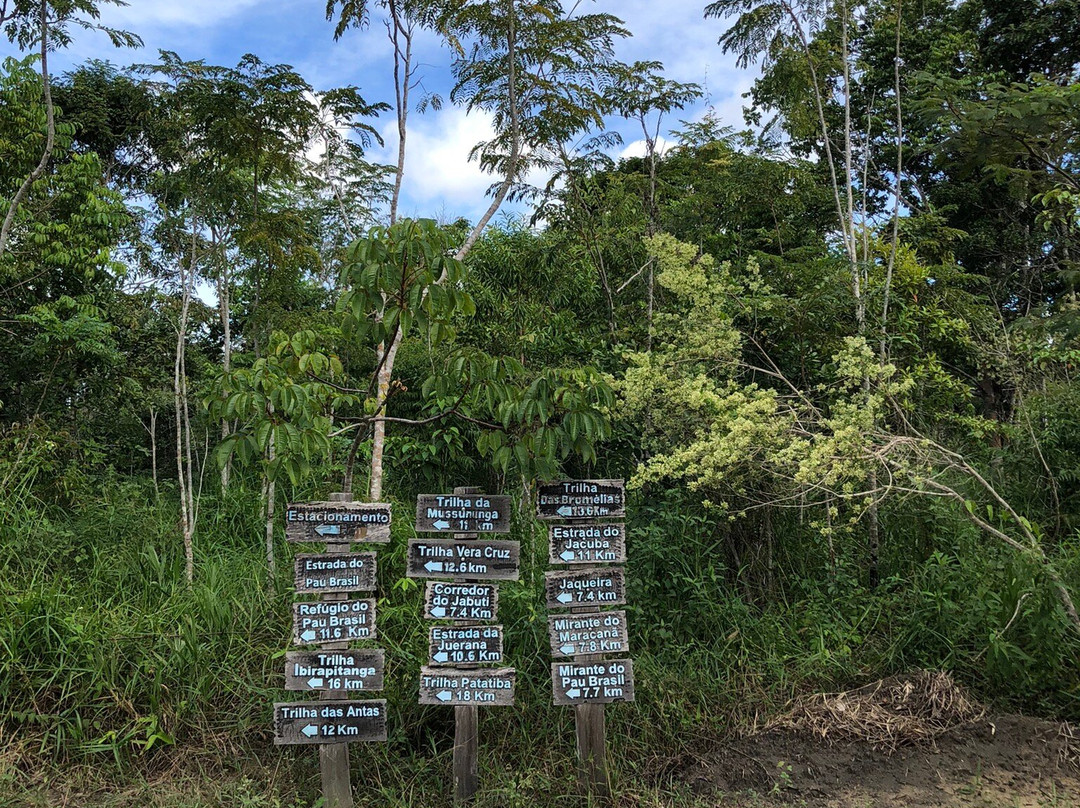 Parque Nacional do Pau Brasil-Porto Seguro必去景点