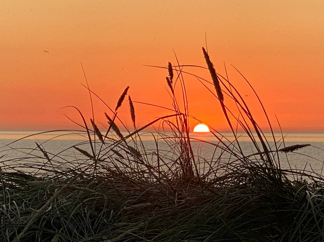 Gilleleje Bed & Breakfast - Høveltegård主图