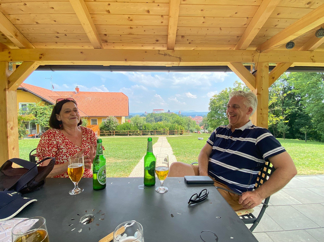 Panorama Metka Gutschi主图