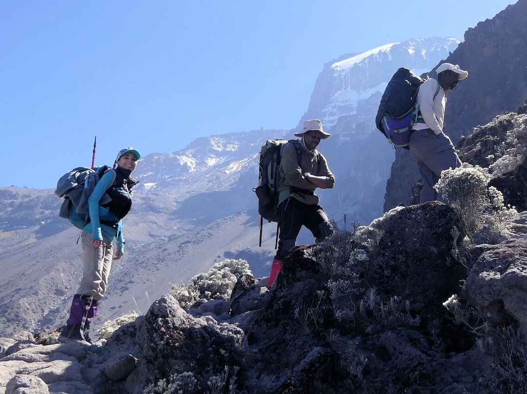 Kilimanjaro Climbing-Marangu Magharibi必去景点