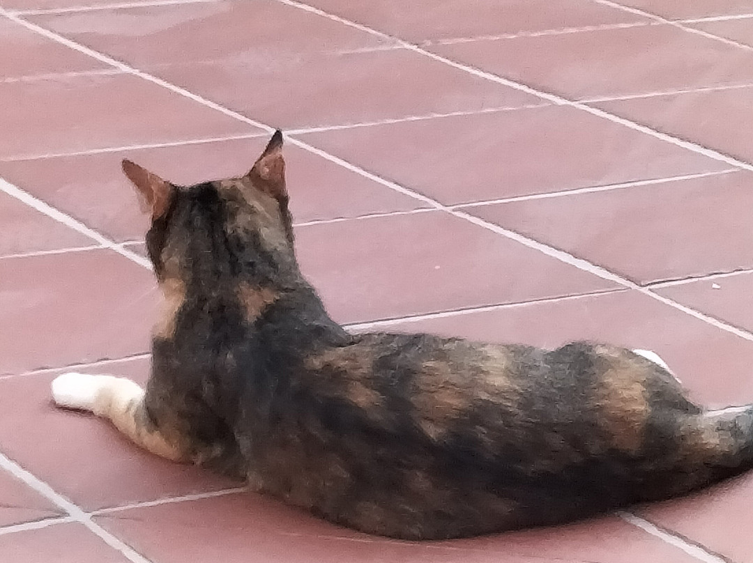 Castello Bianco Hotel主图