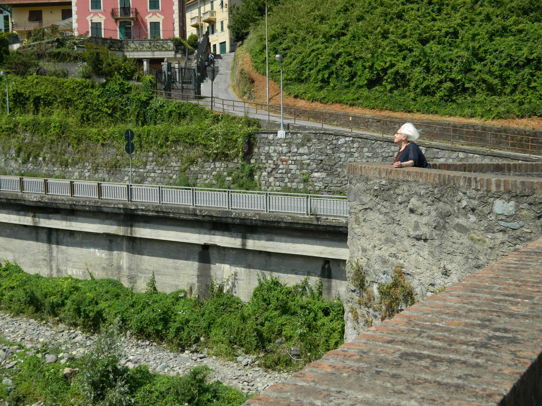 Ponte Medievale di San Michele (Ponte di Adalasia)-Campo Ligure必去景点