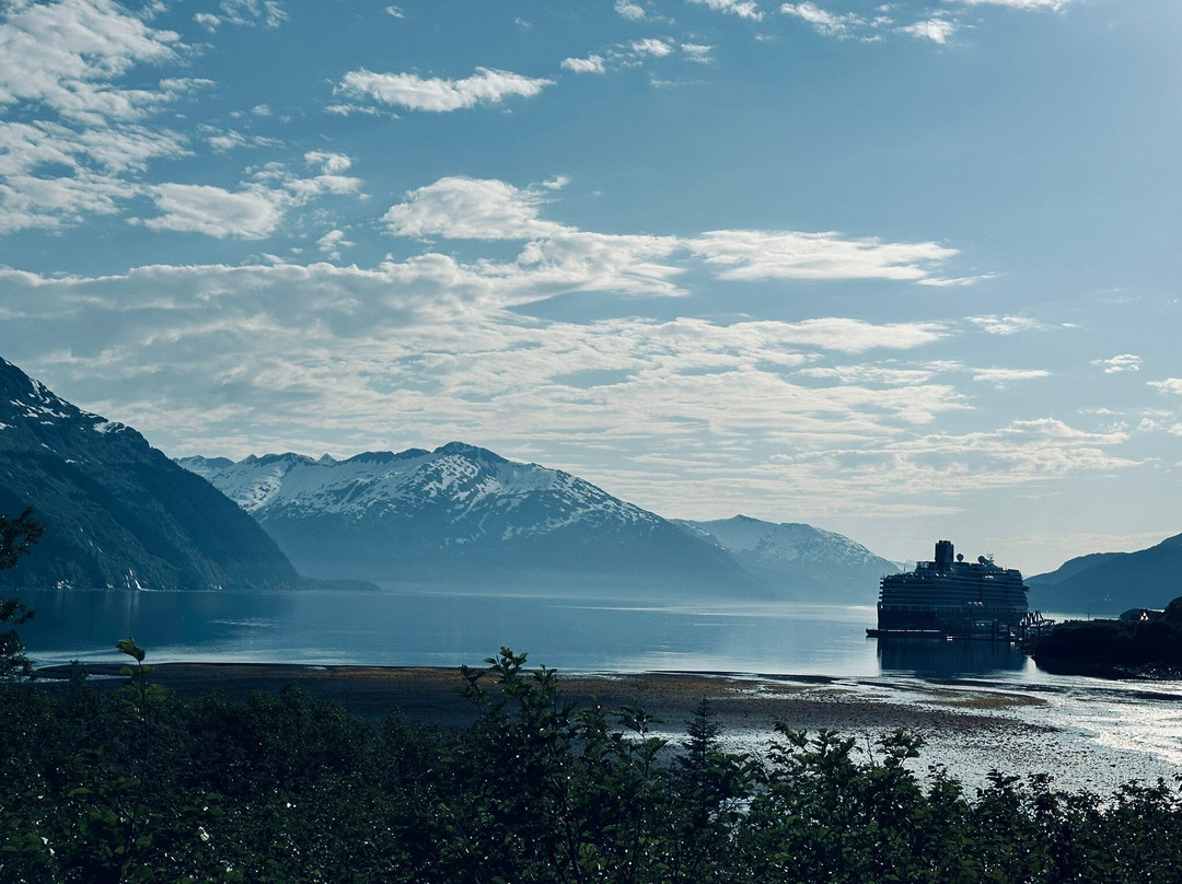 Whittier Harbor-惠提尔必去景点