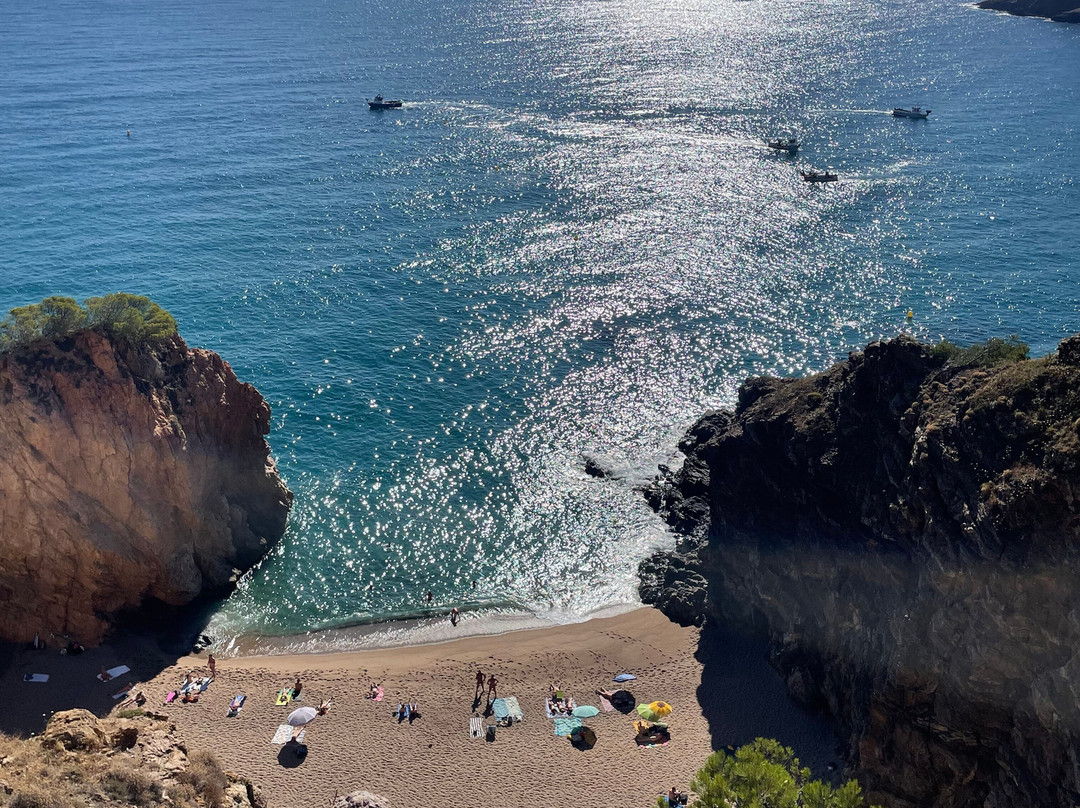 Platja De L'Illa Roja景点图片