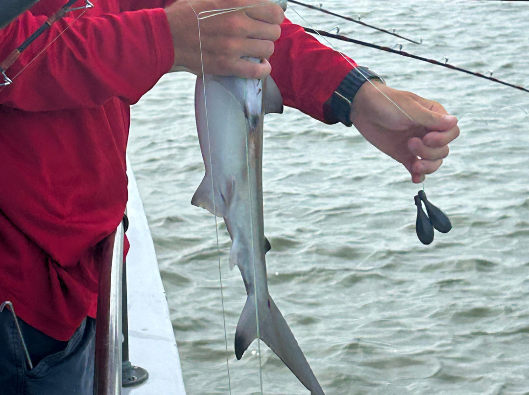 Captain Hook Party Fishing Boat-希尔顿头岛必去景点