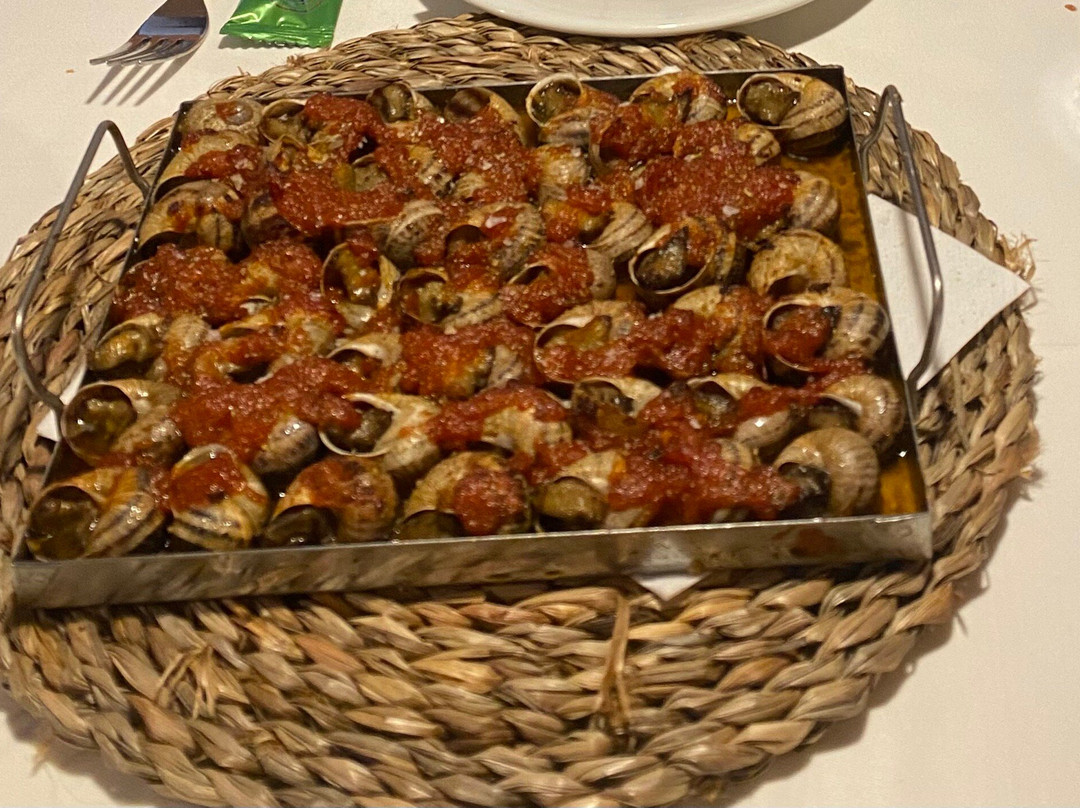 Can Joan - La Curva Magica