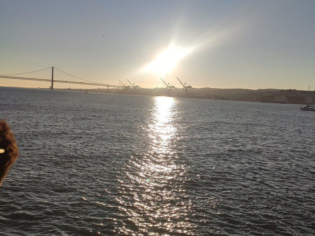 Sardinha do Tejo-里斯本必去景点