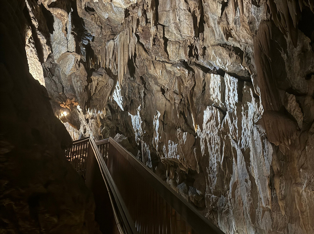 Black Chasm Cavern景点图片