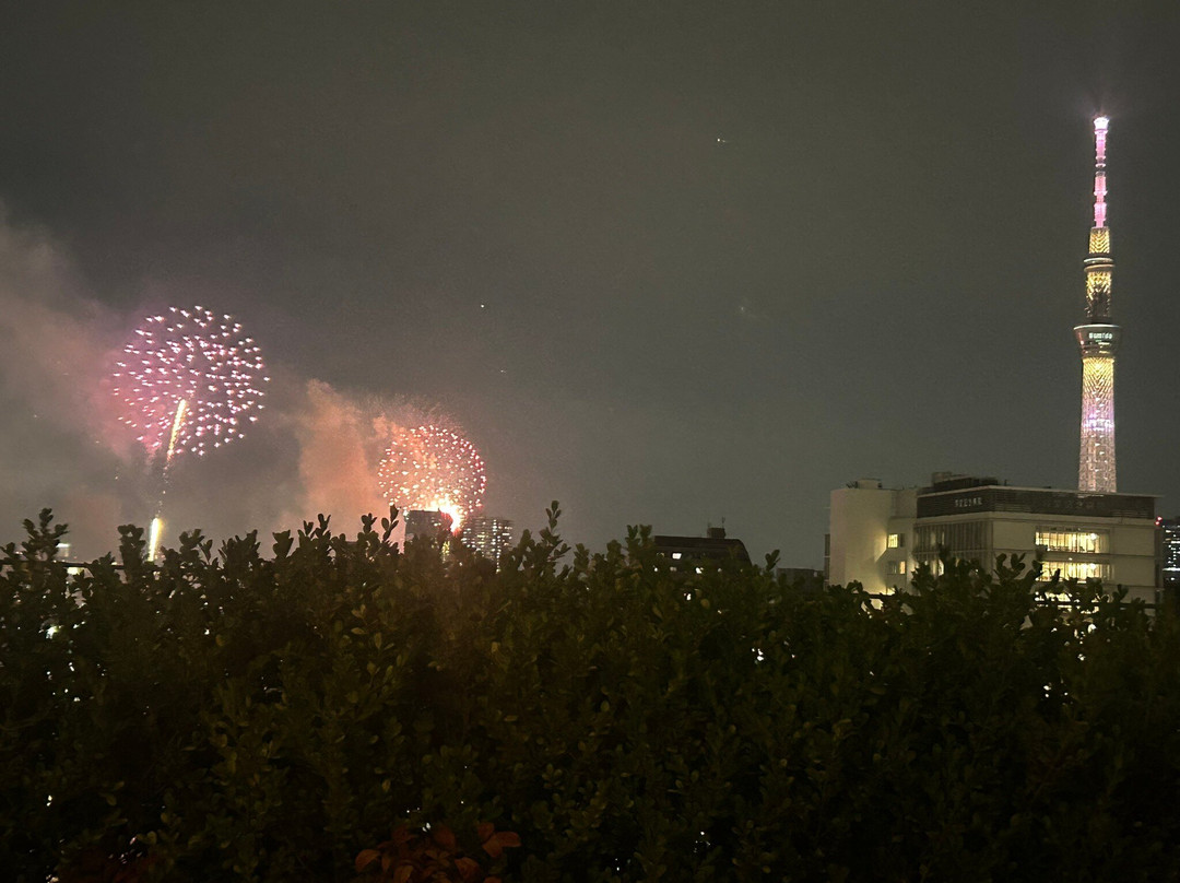 THE GATE HOTEL RYOGOKU by HULIC主图