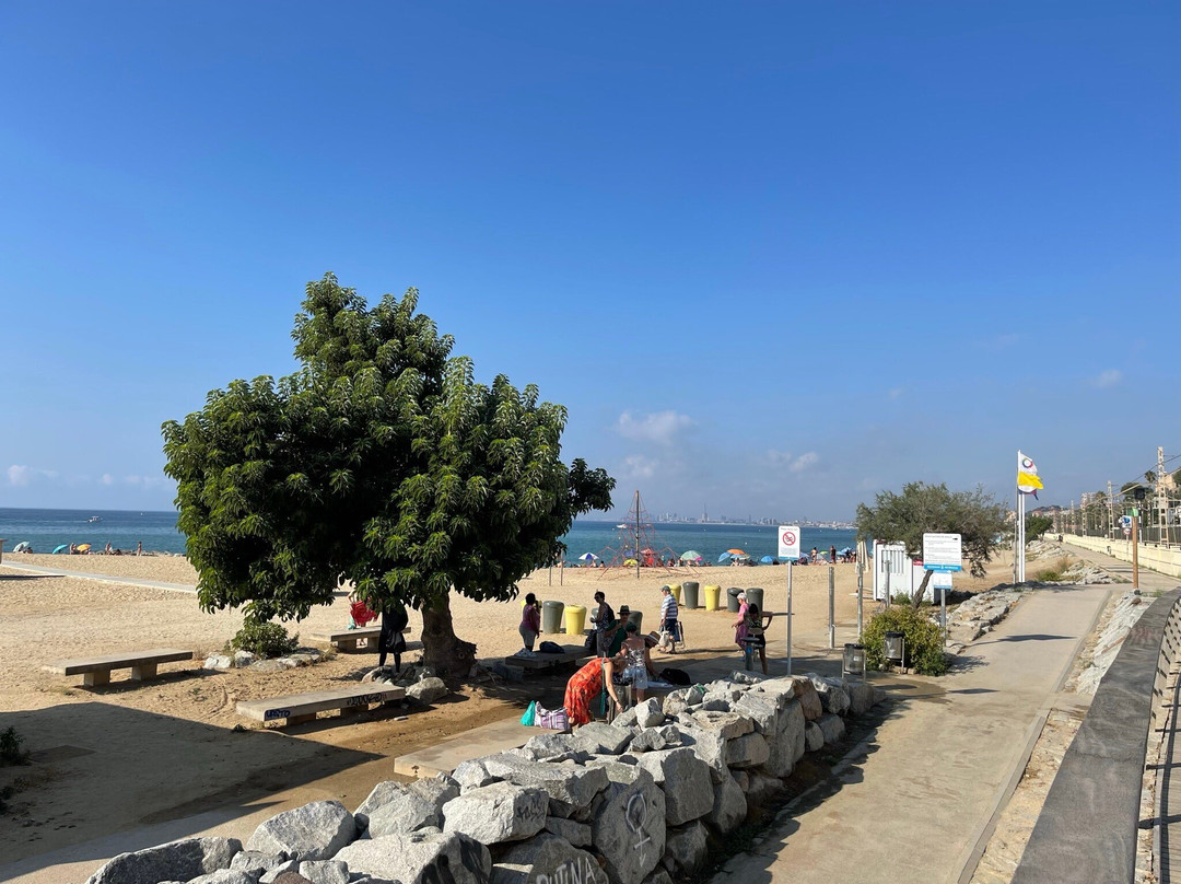 Platja del Masnou-埃尔马斯诺必去景点