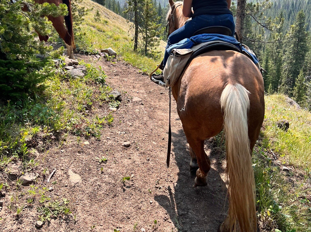 Yellowstone Outfitters-莫兰必去景点
