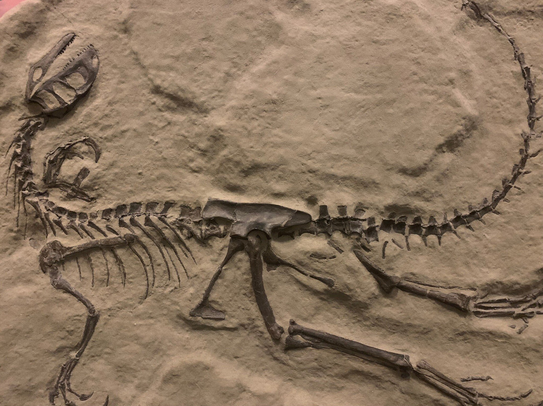 George S. Eccles Dinosaur Park-奥格登必去景点