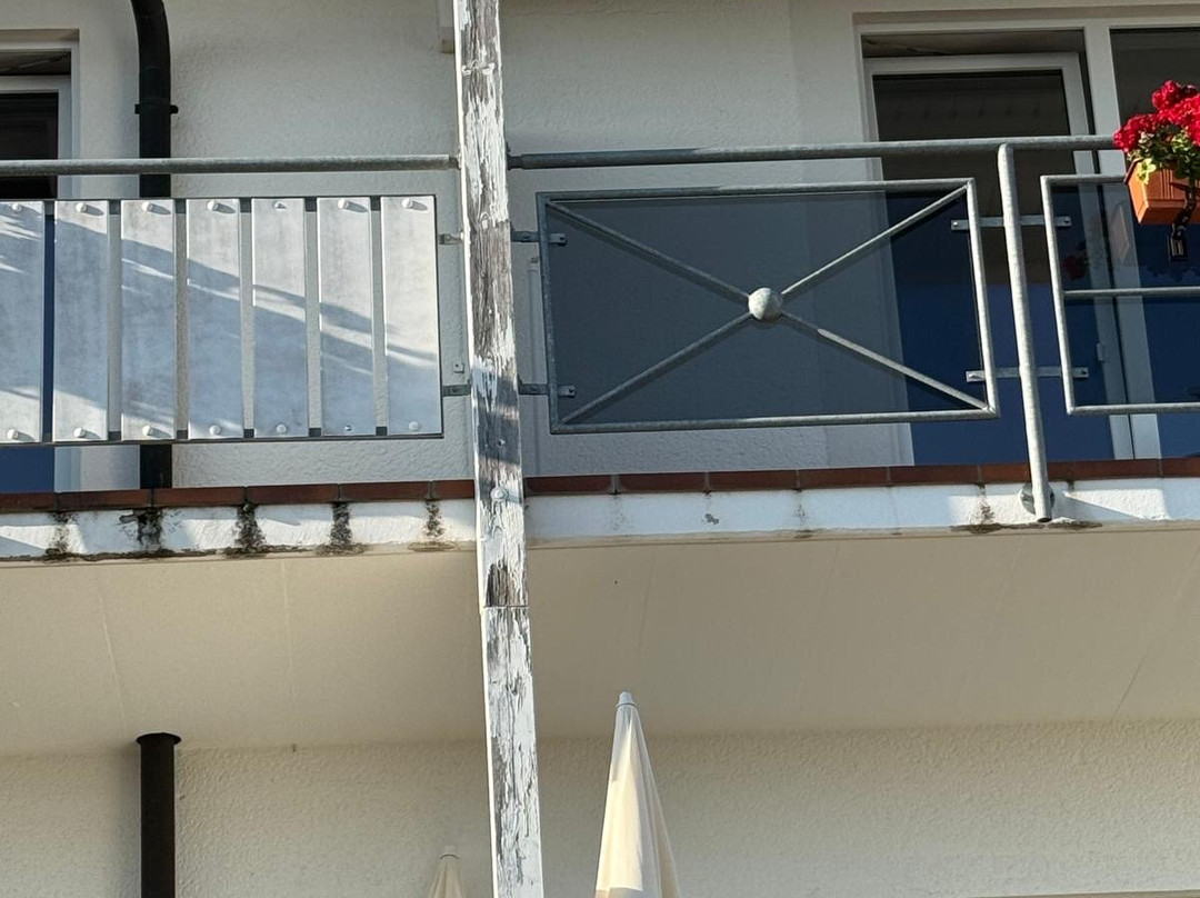 JUFA Hotel Schwarzwald主图