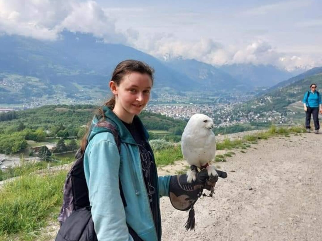 Centro di Falconeria Messaggeri Alati景点图片