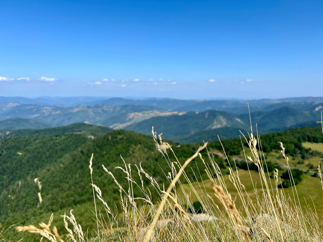 Mont Gerbier de Jonc-Saint-Martial必去景点