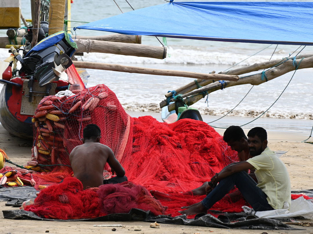 Explore Lanka Tours By Sahan-佩拉德尼亚必去景点