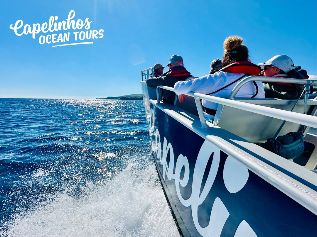 Capelinhos Ocean Tours-奥尔塔必去景点