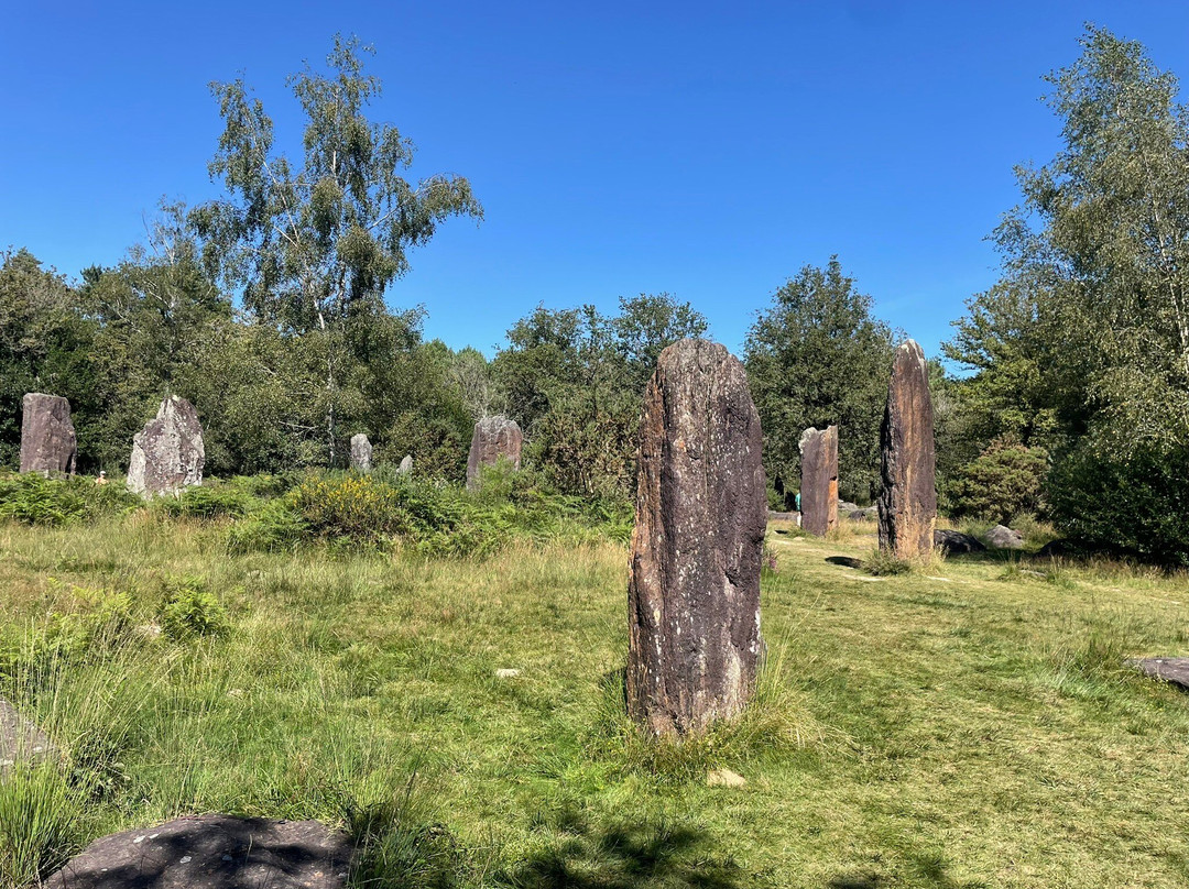 Menhirs de Monteneuf景点图片