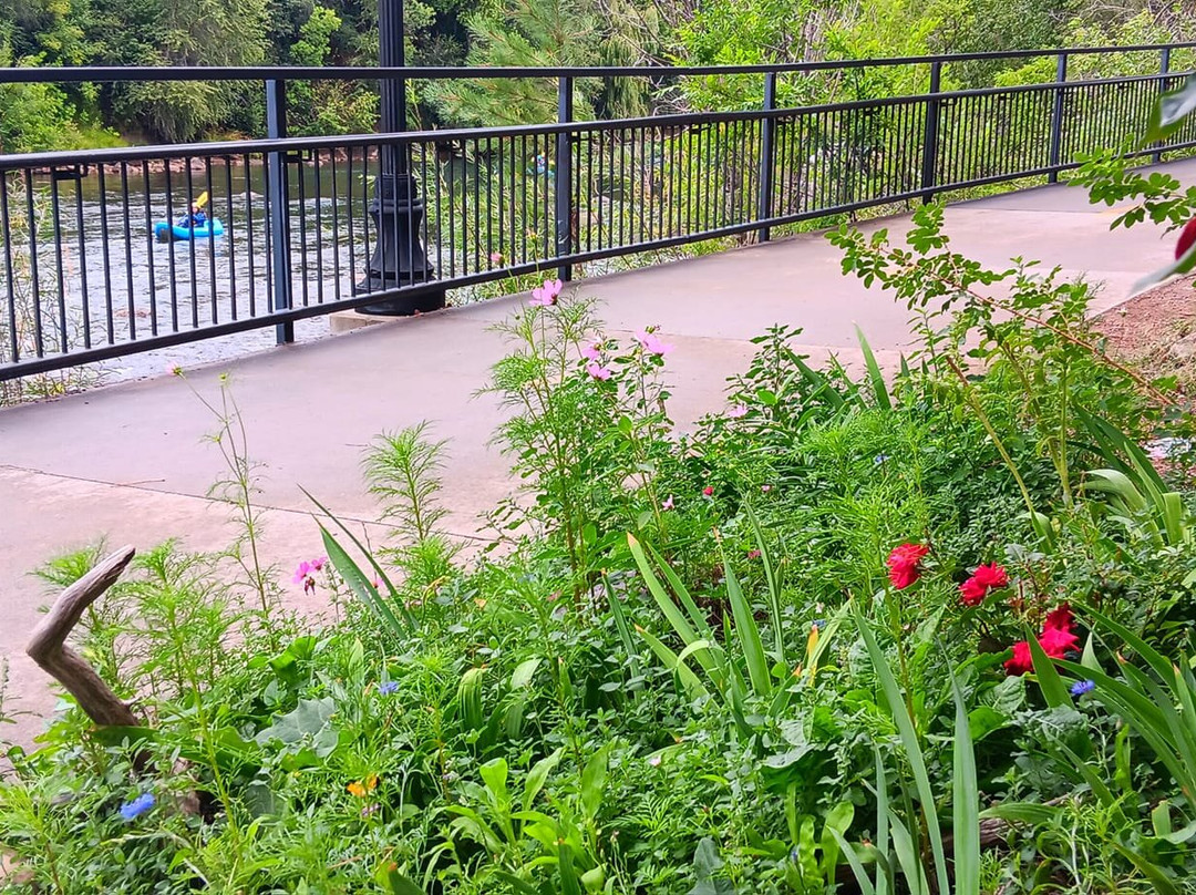 White Rabbit Books and Curiosities-杜兰戈必去景点