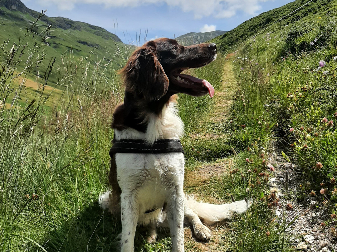 Hotel Restaurant Bergalga主图