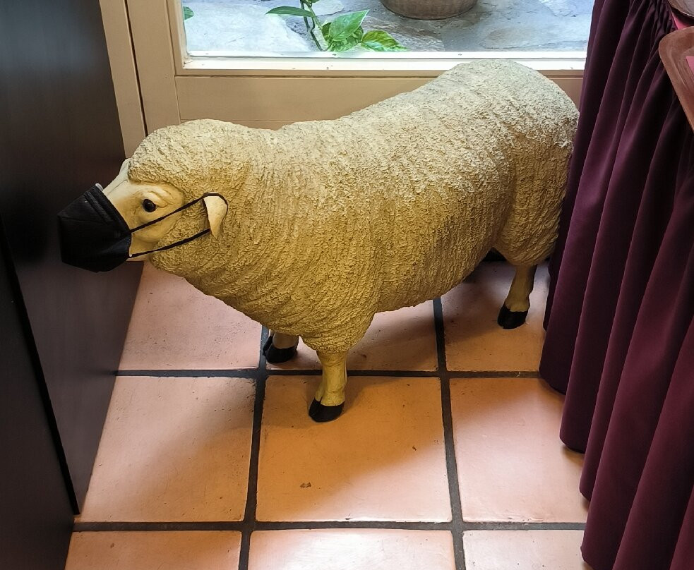 索莉塔尔酒店主图