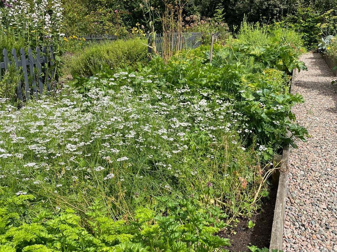Kilcoan Gardens景点图片