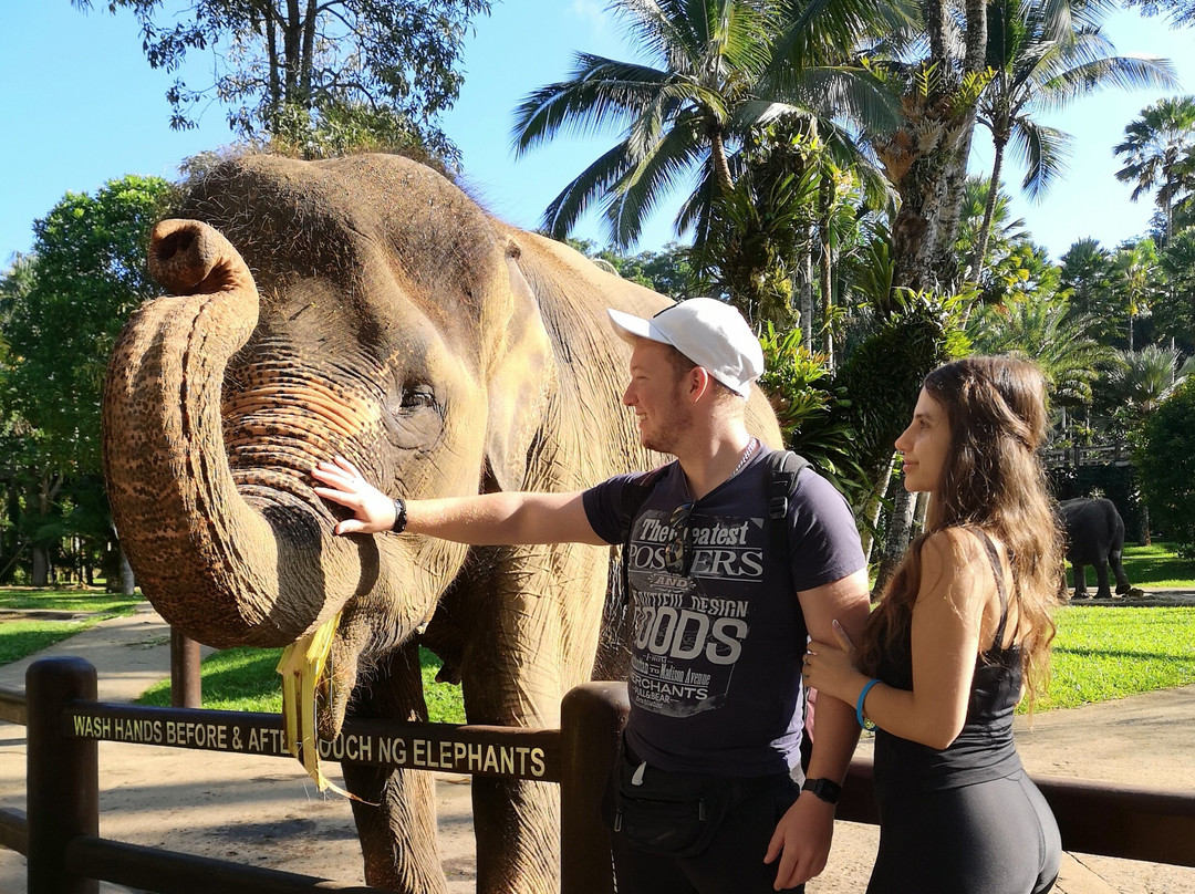 Family Bali Tours - Day Tours-登巴萨必去景点