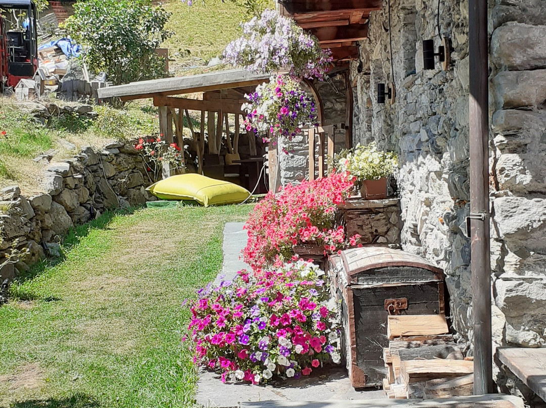 Maison Le Cler主图