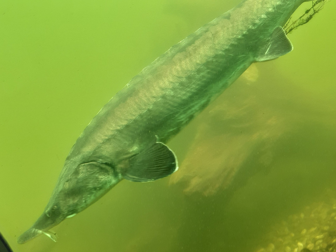 Schloss Orth an der Donau-Orth an der Donau必去景点