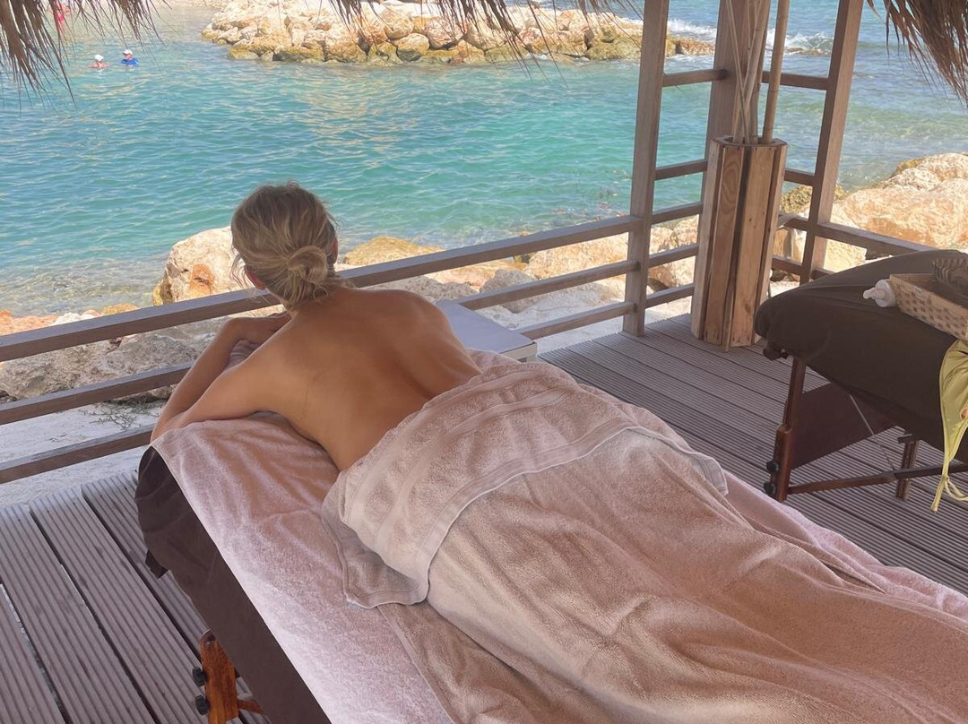 Natural Blends Esthetics Spa Rif Fort景点图片