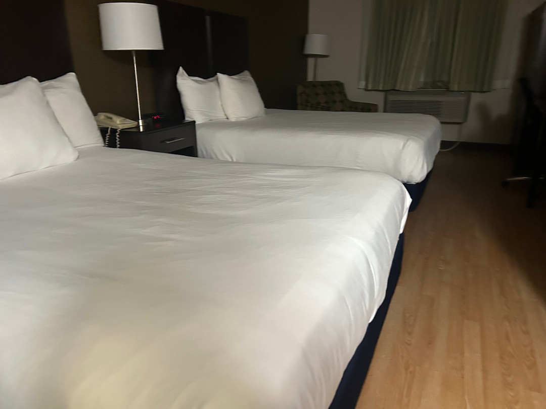 Best Western Airport Inn主图